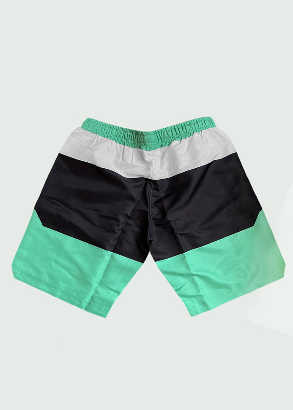 WavEVP Shorts